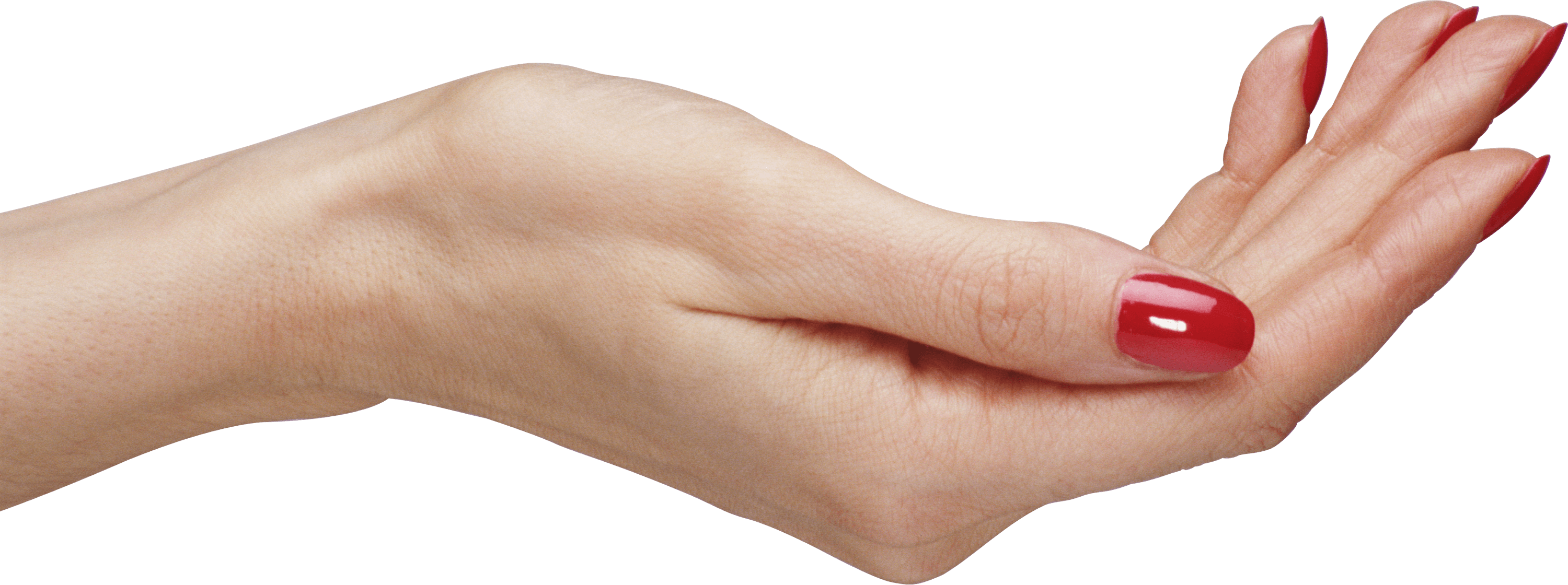 Palm Hands Png Hand Image  Transparent PNG Image