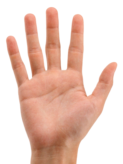 Hands Png 3 Transparent PNG Image