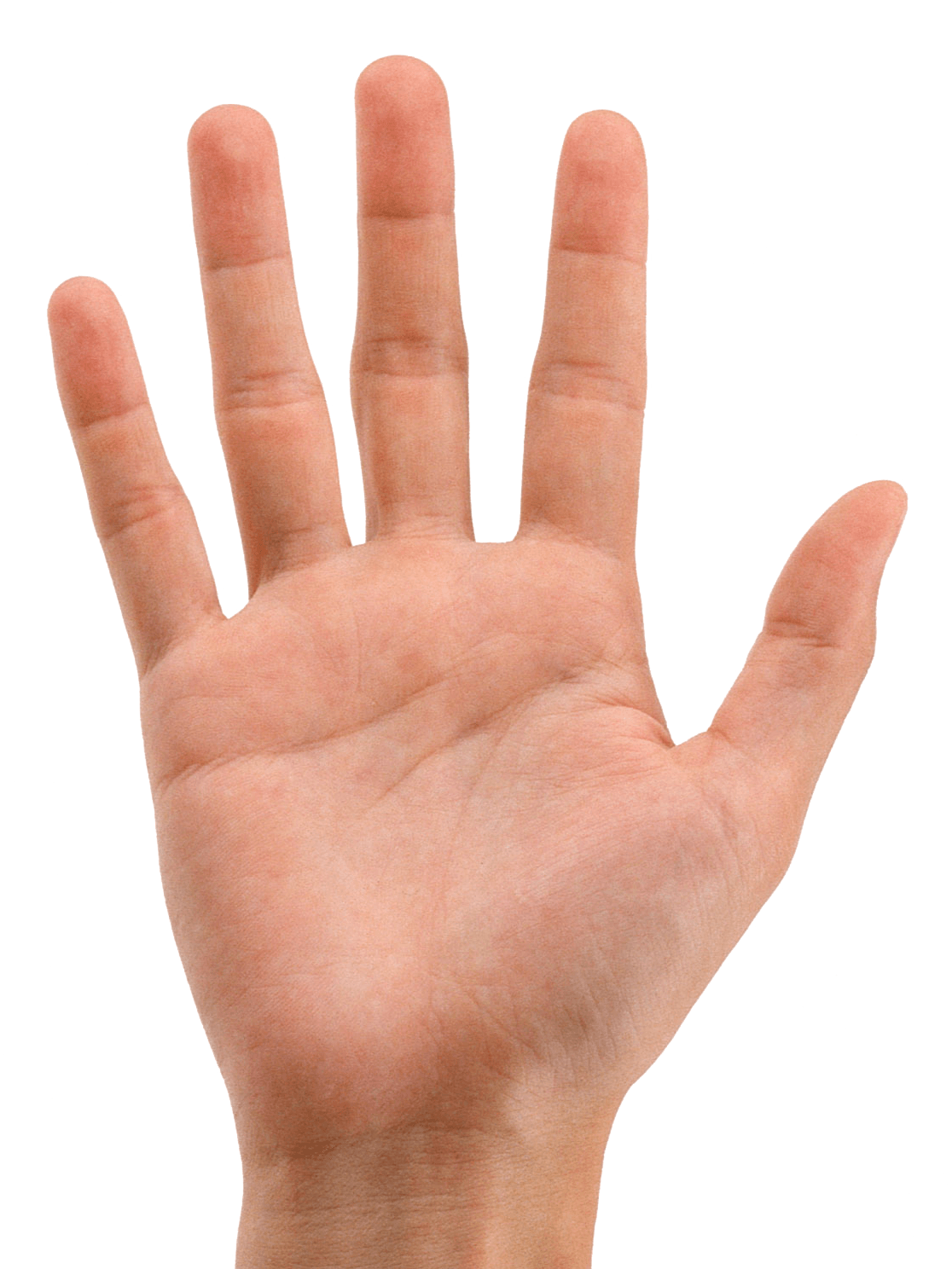 Hands Png Hand Image  Transparent PNG Image