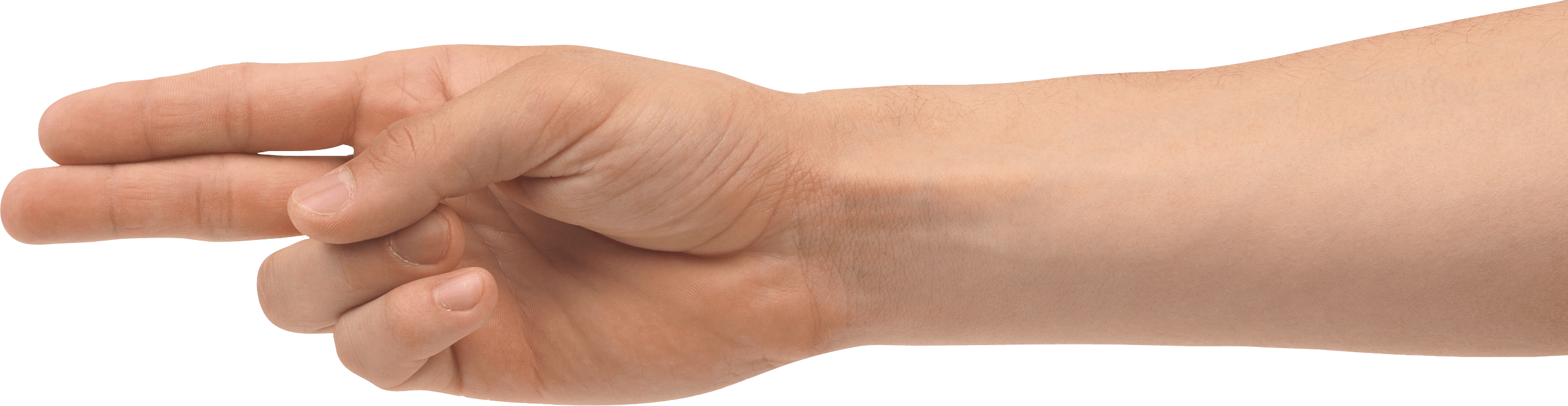 Hands Png Hand Image  Transparent PNG Image