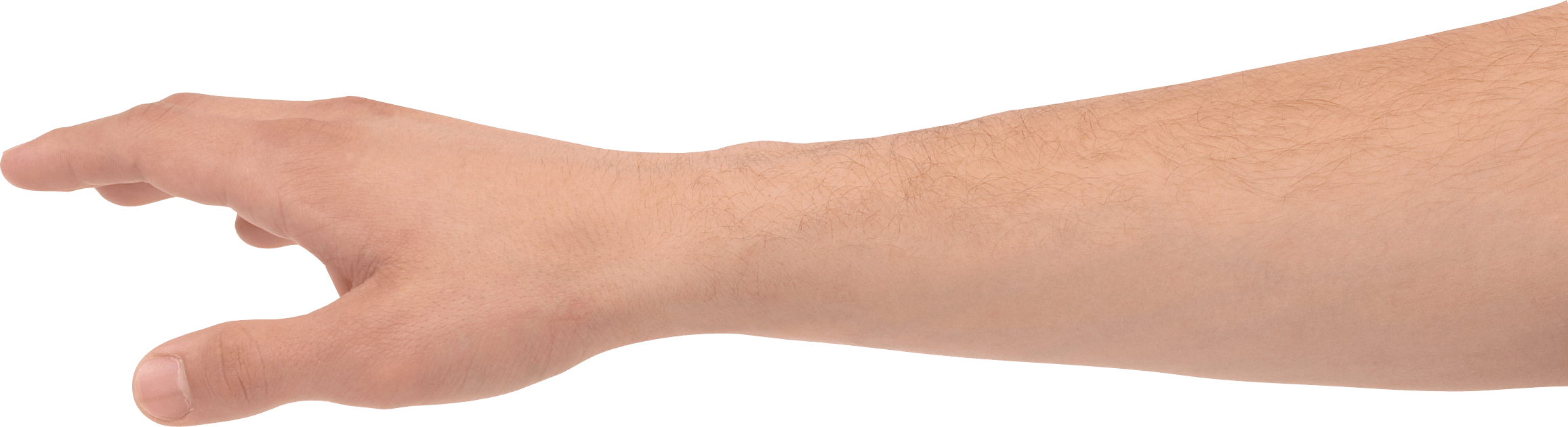 Hands Png Hand Image  Transparent PNG Image