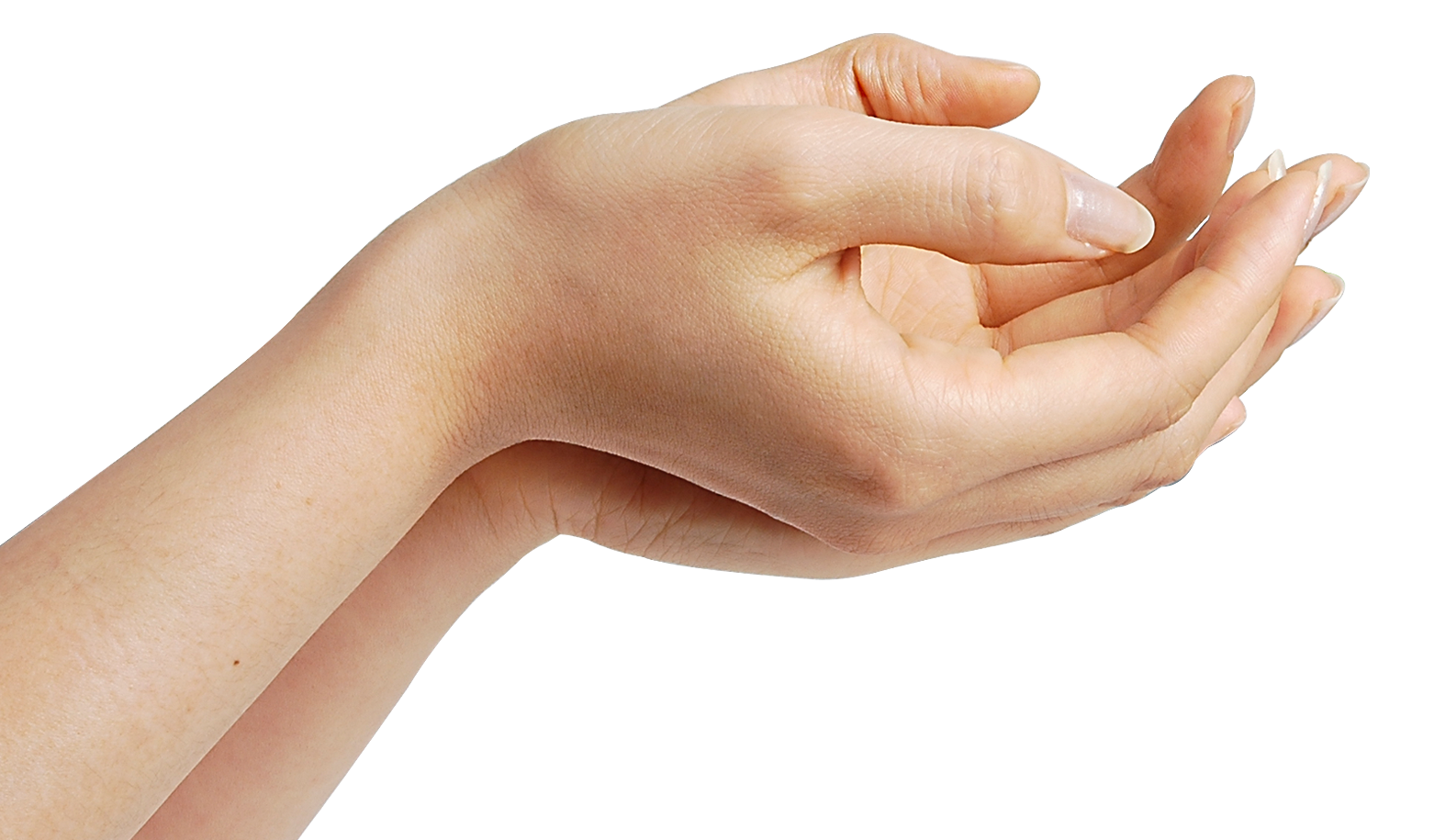 Hands Png 7 Transparent PNG Image