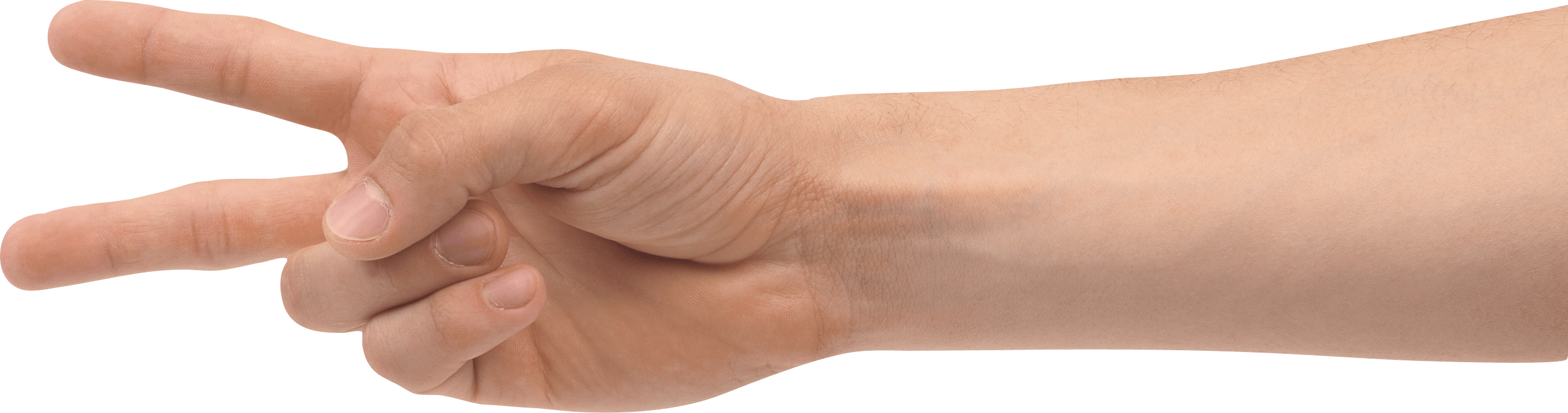 Hands Png Hand Image  Transparent PNG Image