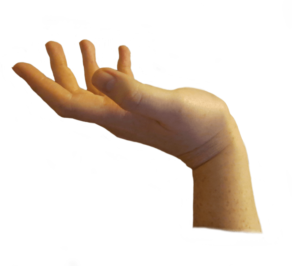 Hands Png Hand Image  Transparent PNG Image