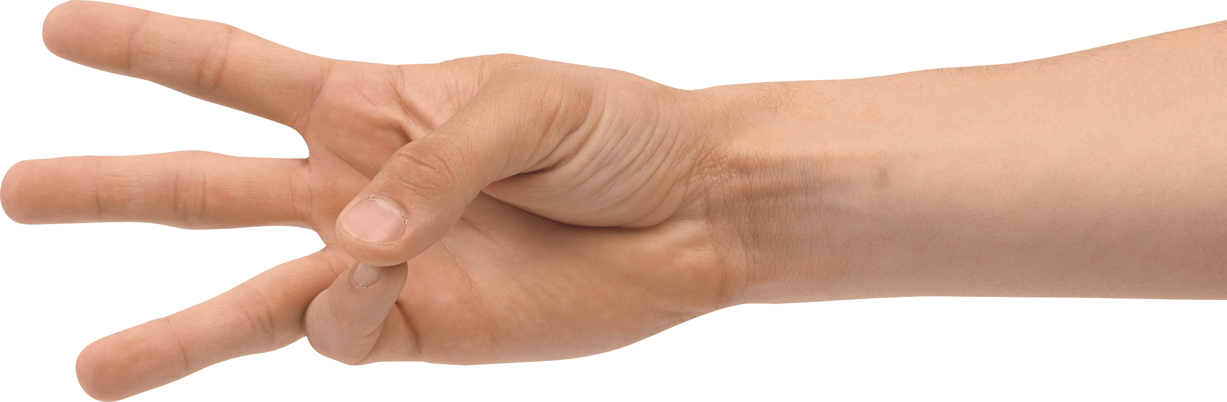 Hands Png Hand Image  Transparent PNG Image