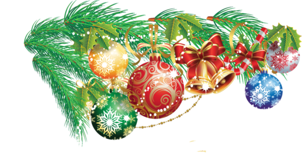 New Year Christmas Royal Message Evergreen Fir For Wishes Transparent PNG Image