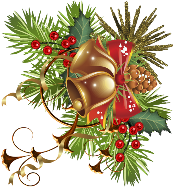 Christmas Ornament Carol Fir Pine Family For Ideas Transparent PNG Image