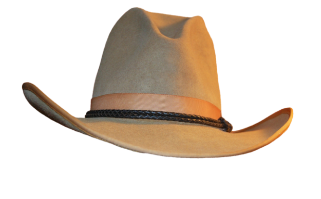 Hat Beige Cowboy Free Download Image Transparent PNG Image