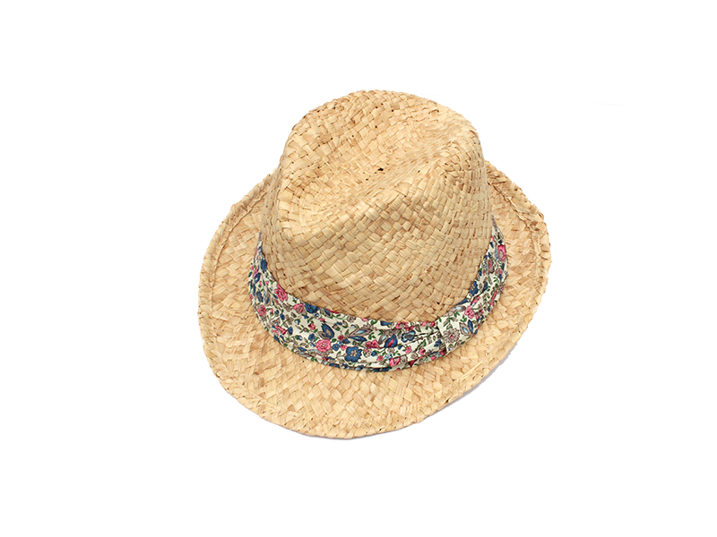 Sombrero Beach Hat Download HD Transparent PNG Image