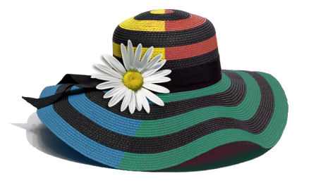 Fancy Hat Image Transparent PNG Image