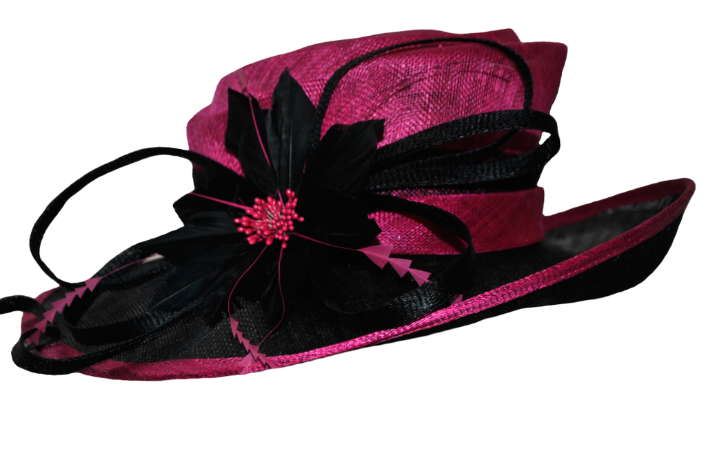 Fancy Hat Transparent Transparent PNG Image