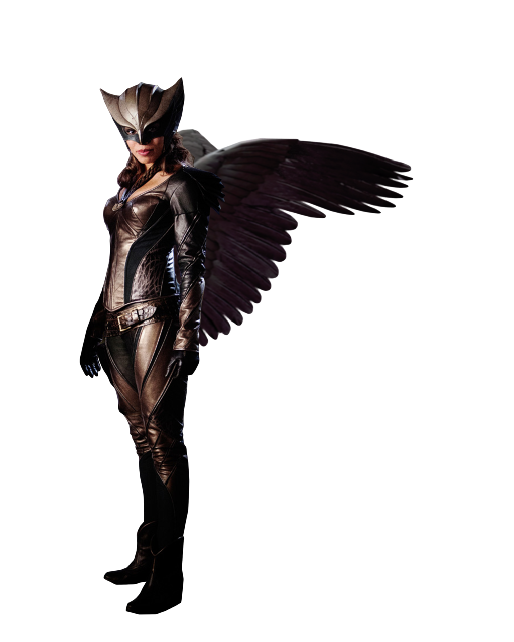 Hawkgirl Transparent Image Transparent PNG Image