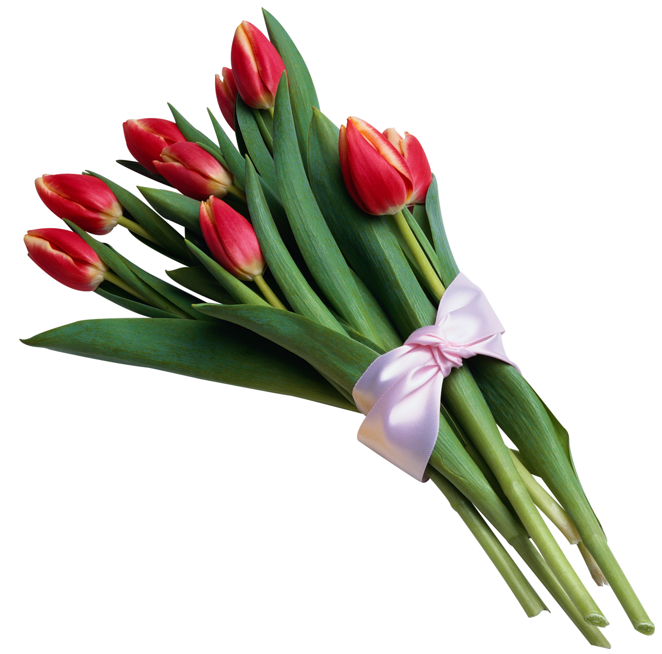 Picture Flower Bouquet Tulips Tulip Of Transparent Transparent PNG Image