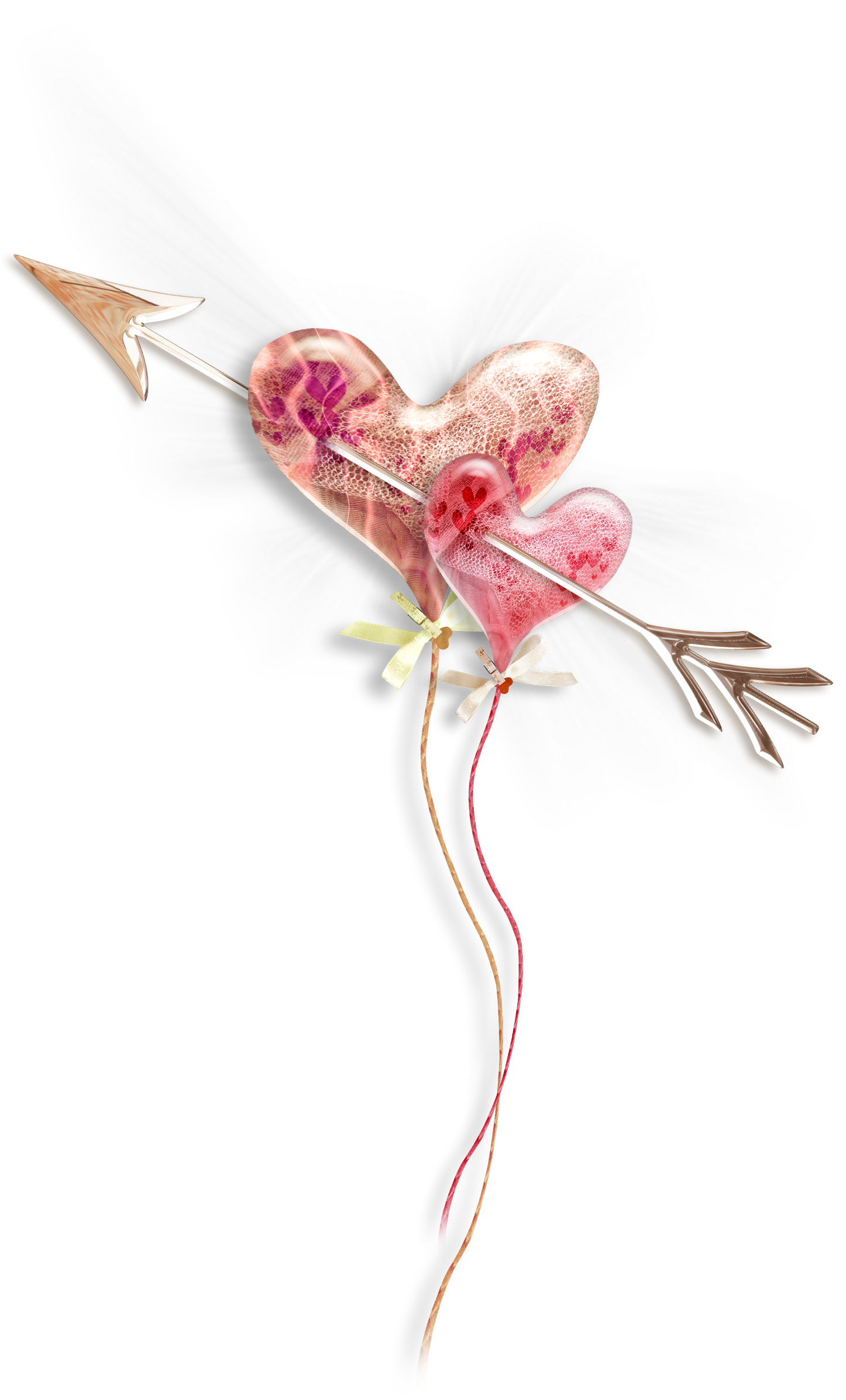 Pink Heart Photography Drawing Free Photo PNG Transparent PNG Image