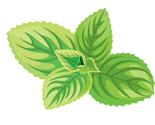 Herbs Pic Leaf Download HQ Transparent PNG Image