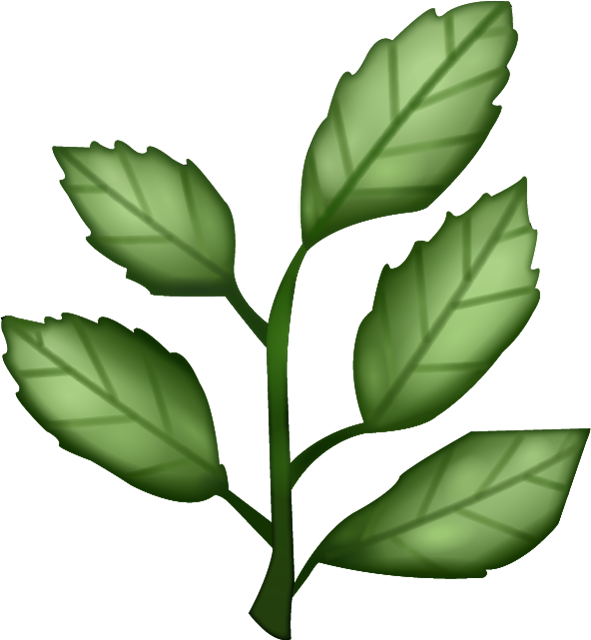 Herbs Leaf HQ Image Free Transparent PNG Image