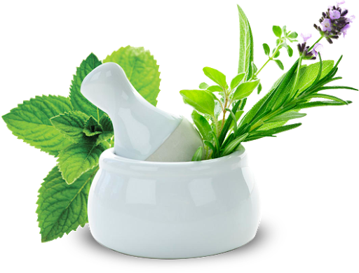 Medicine Herbs Pic Free Download PNG HQ Transparent PNG Image