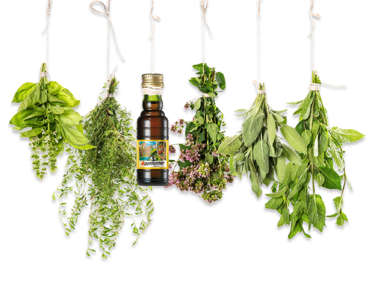 Medicine Herbs Free Download PNG HQ Transparent PNG Image