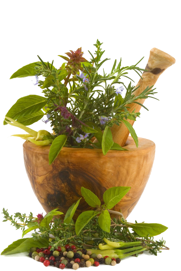 Medicine Herbs Download HD Transparent PNG Image