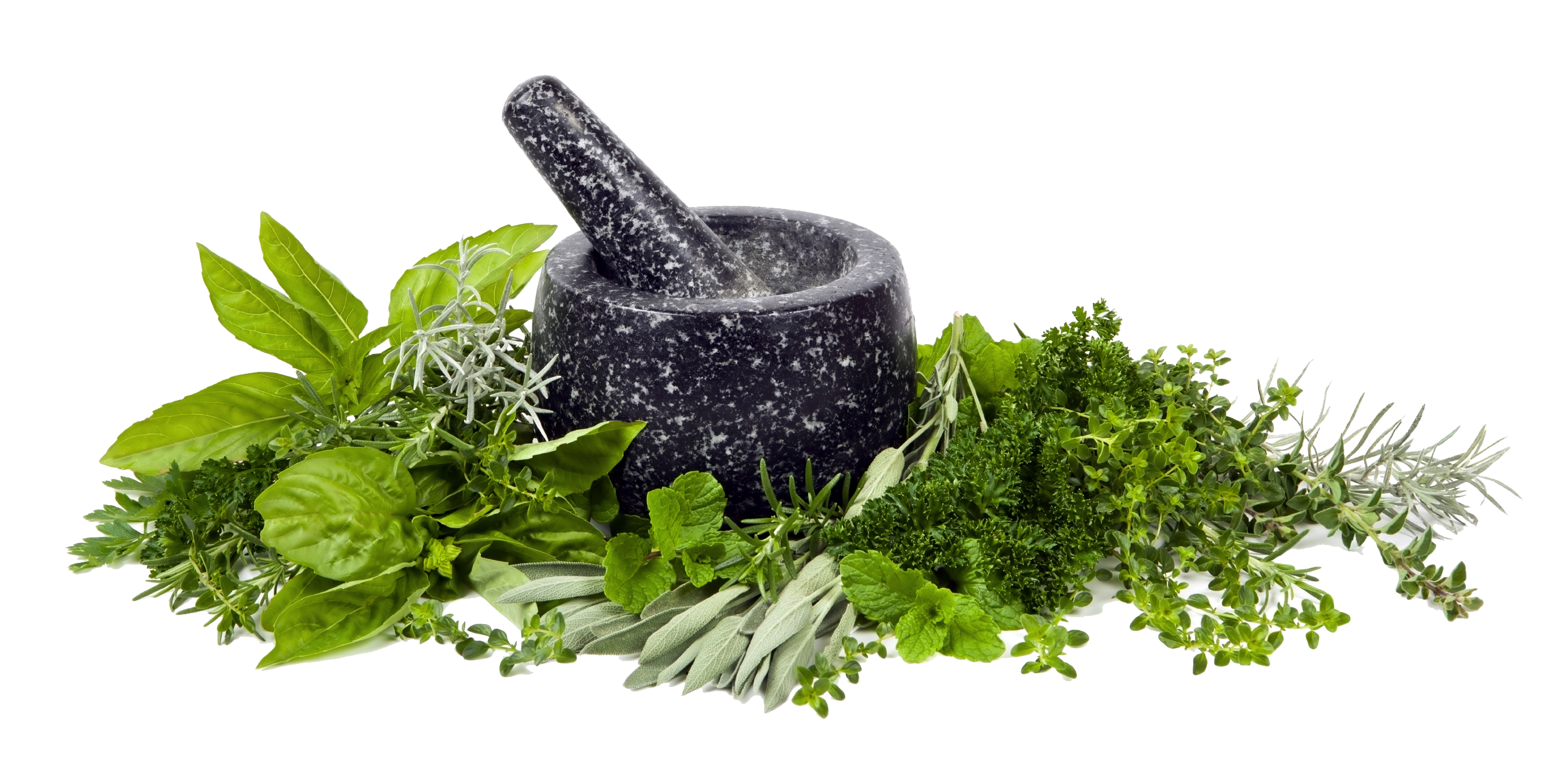 Herbs Image Transparent PNG Image