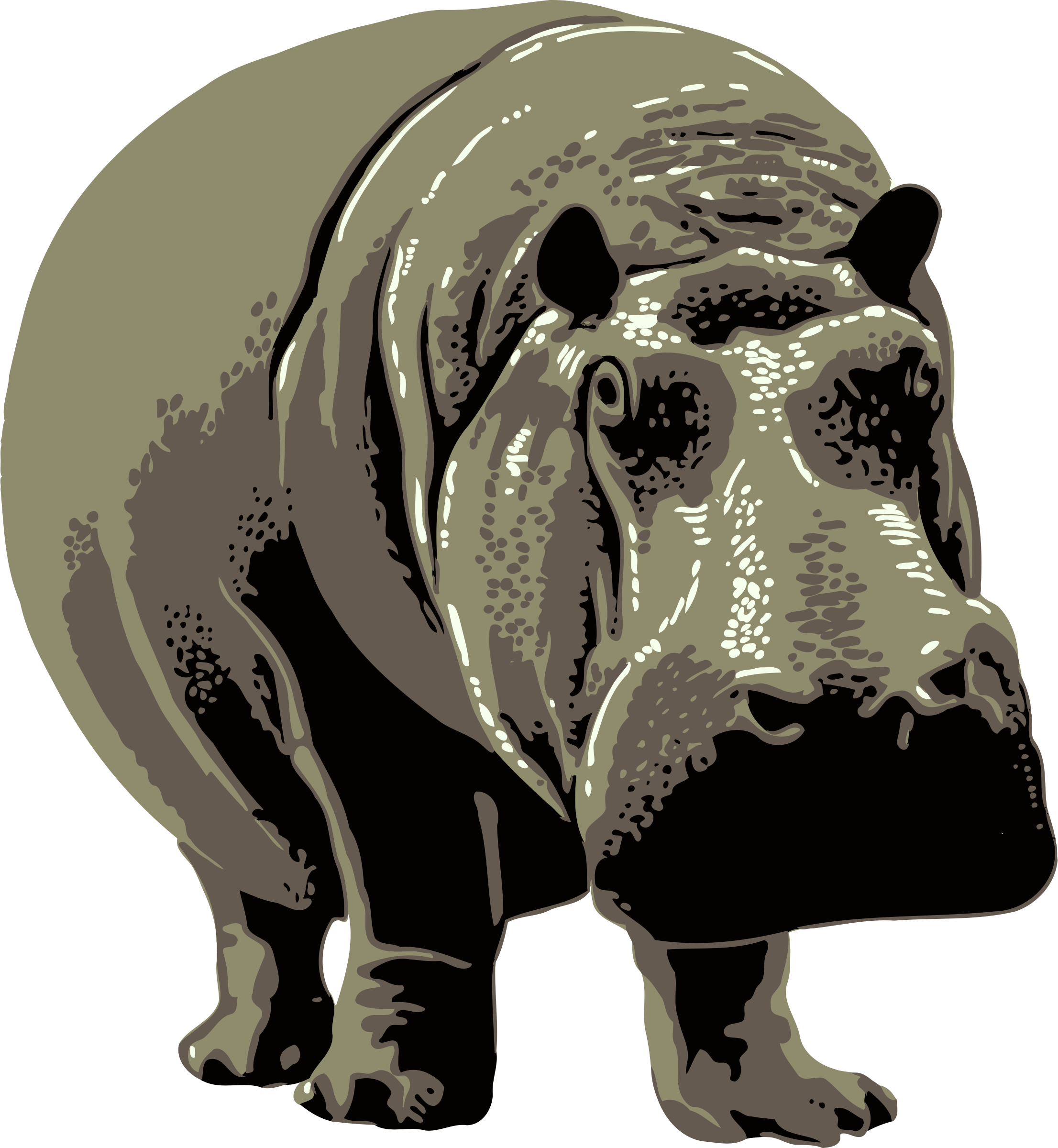 Hippo HD Image Free Transparent PNG Image