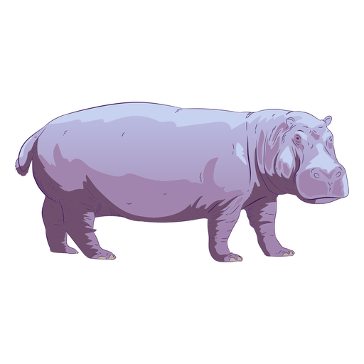 Hippo Vector Free Download PNG HD Transparent PNG Image