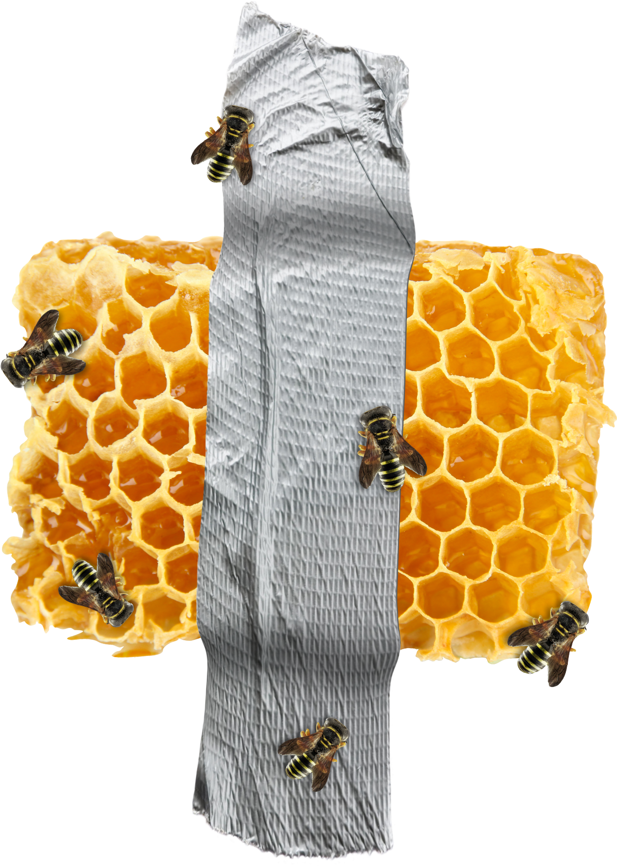 Organic Honeycomb Free Photo Transparent PNG Image