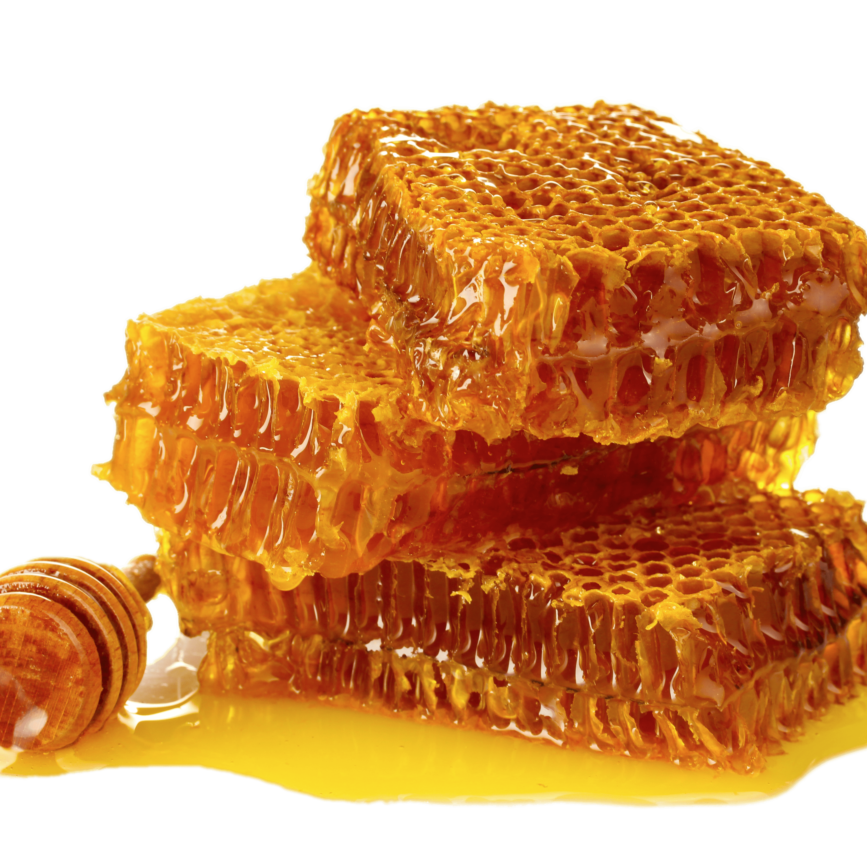 Organic Honeycomb Free Download PNG HD Transparent PNG Image