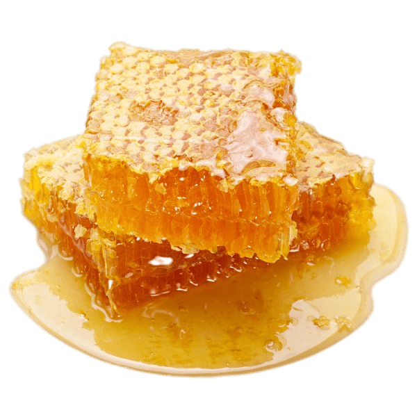 Organic Honeycomb Free HD Image Transparent PNG Image