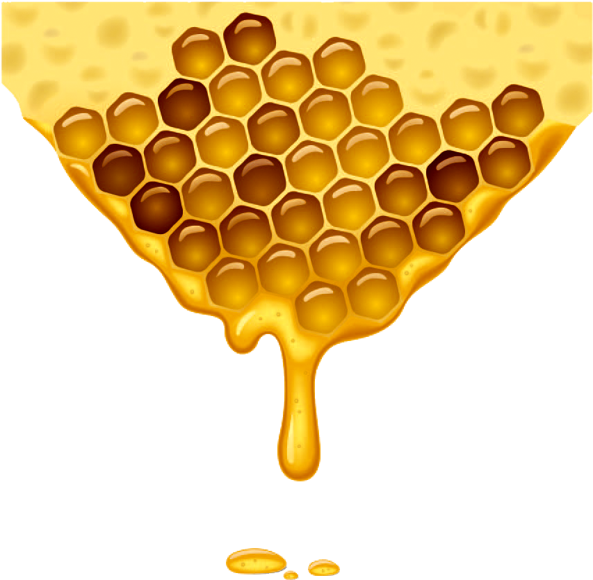 Photos Organic Honeycomb HD Image Free Transparent PNG Image