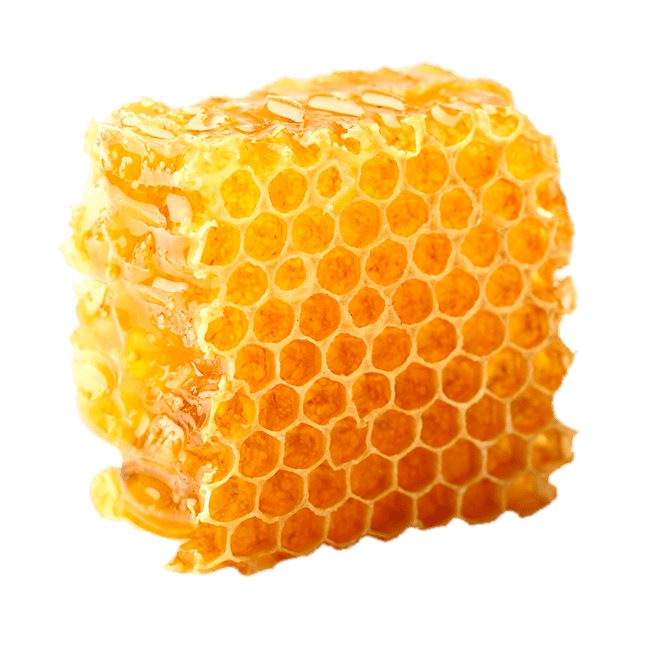 Organic Honeycomb Free HD Image Transparent PNG Image