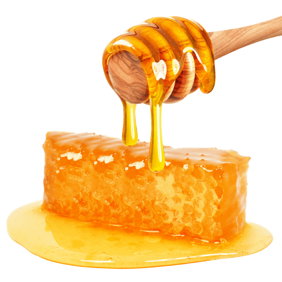 Honey File Transparent PNG Image