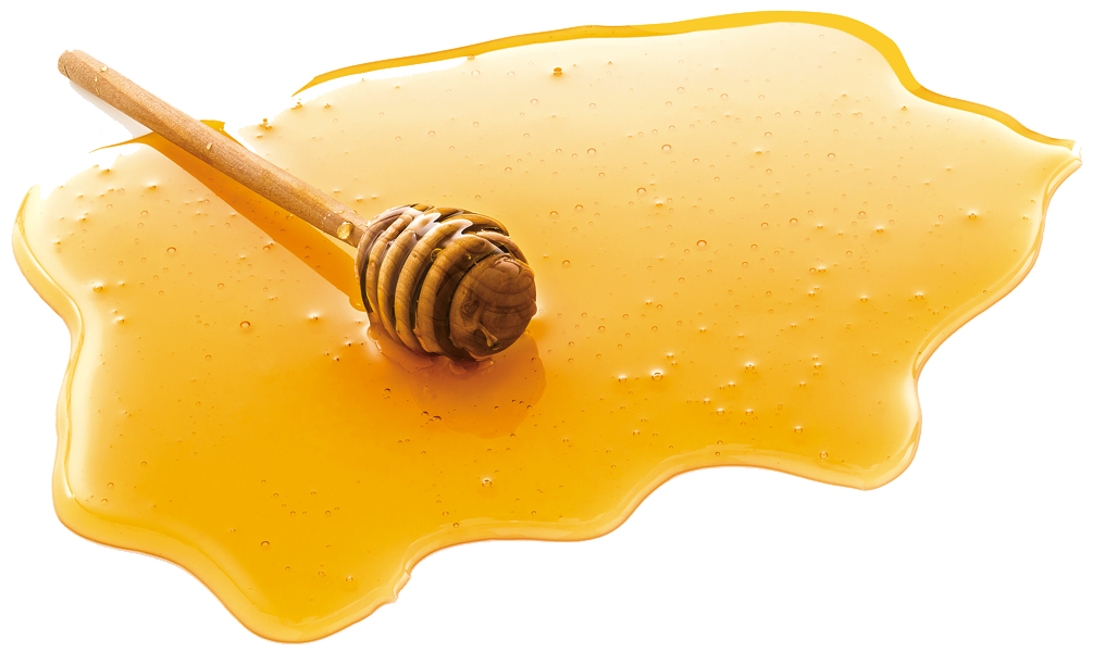 Honey Clipart Transparent PNG Image