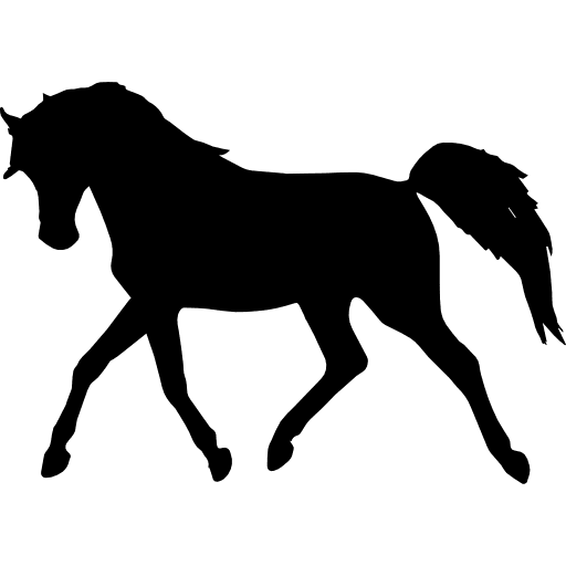 Pic Horse Arabian Black Free Download PNG HQ Transparent PNG Image