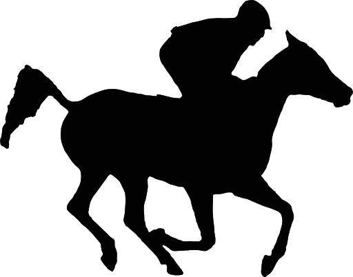 Horse Arabian Black Free Download Image Transparent PNG Image