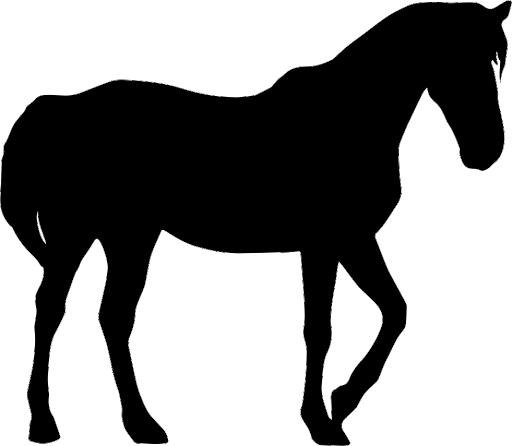 Horse Arabian Black HQ Image Free Transparent PNG Image