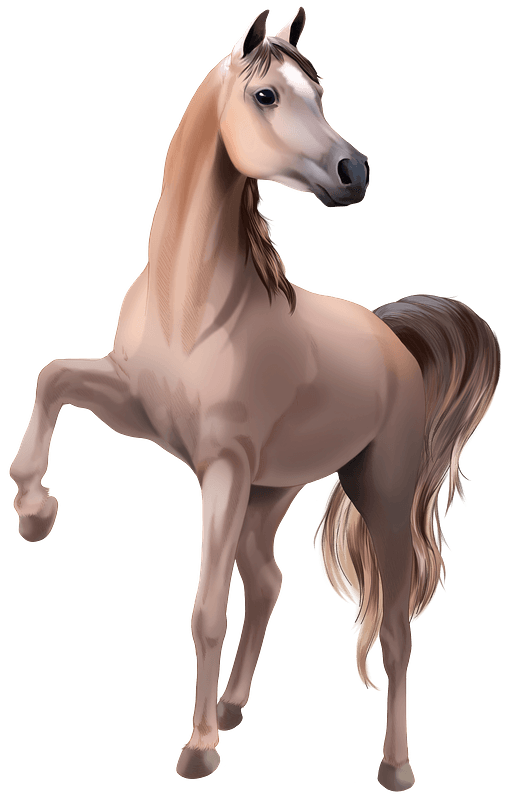 Brown Horse Arabian PNG Image High Quality Transparent PNG Image