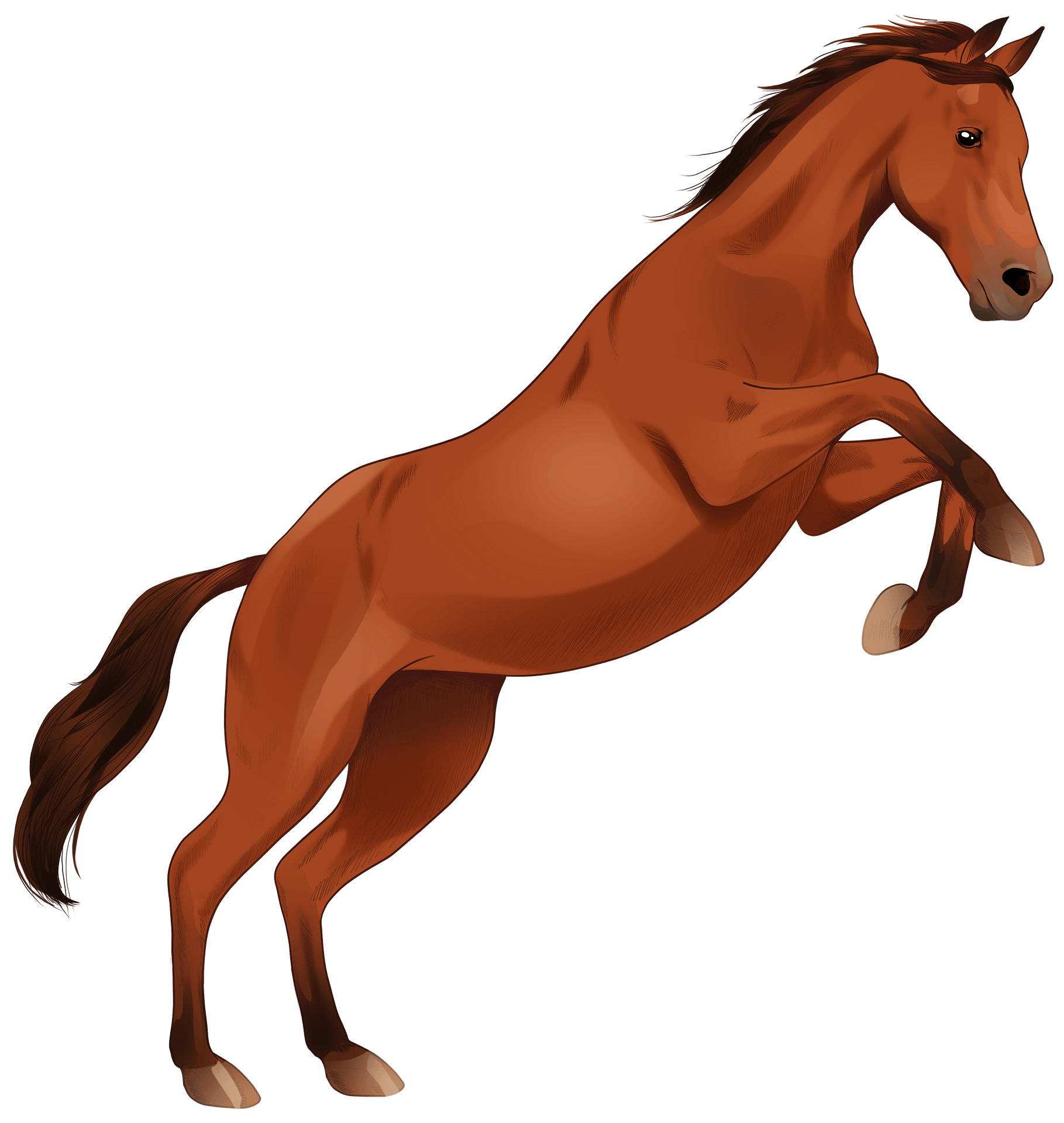 Brown Horse Arabian Free PNG HQ Transparent PNG Image