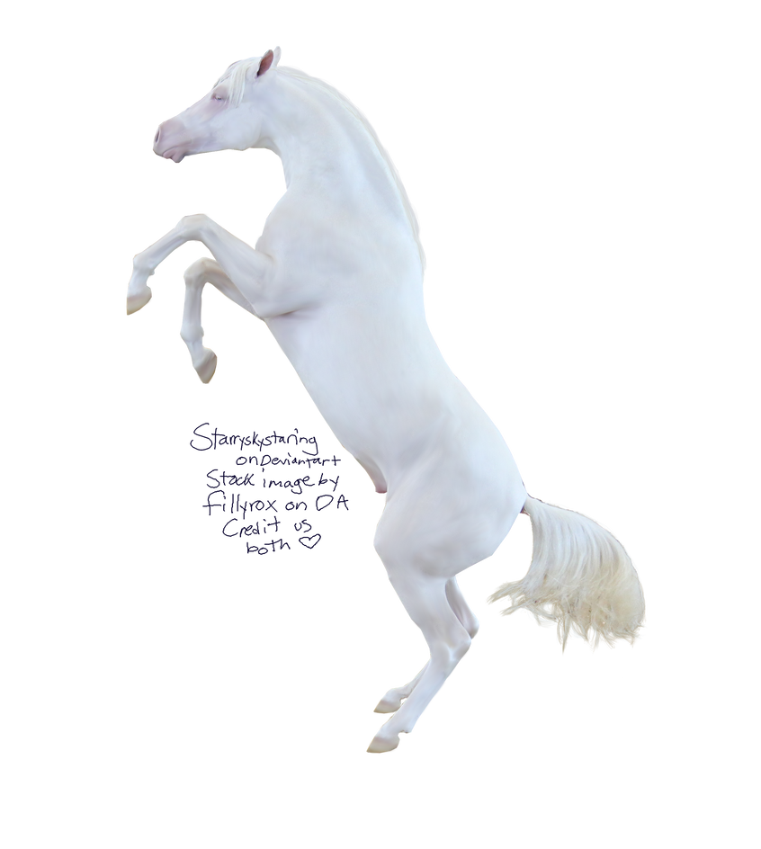 Farm Horse Arabian Free Photo Transparent PNG Image