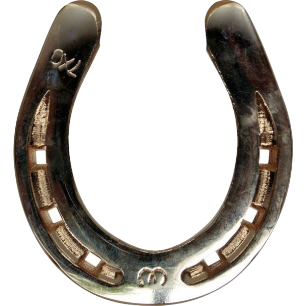 Photos Silver Horseshoe HQ Image Free Transparent PNG Image