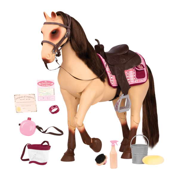 Farm Horse Morgan Free HQ Image Transparent PNG Image