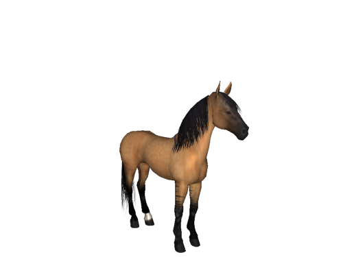 Farm Horse Morgan Free HQ Image Transparent PNG Image