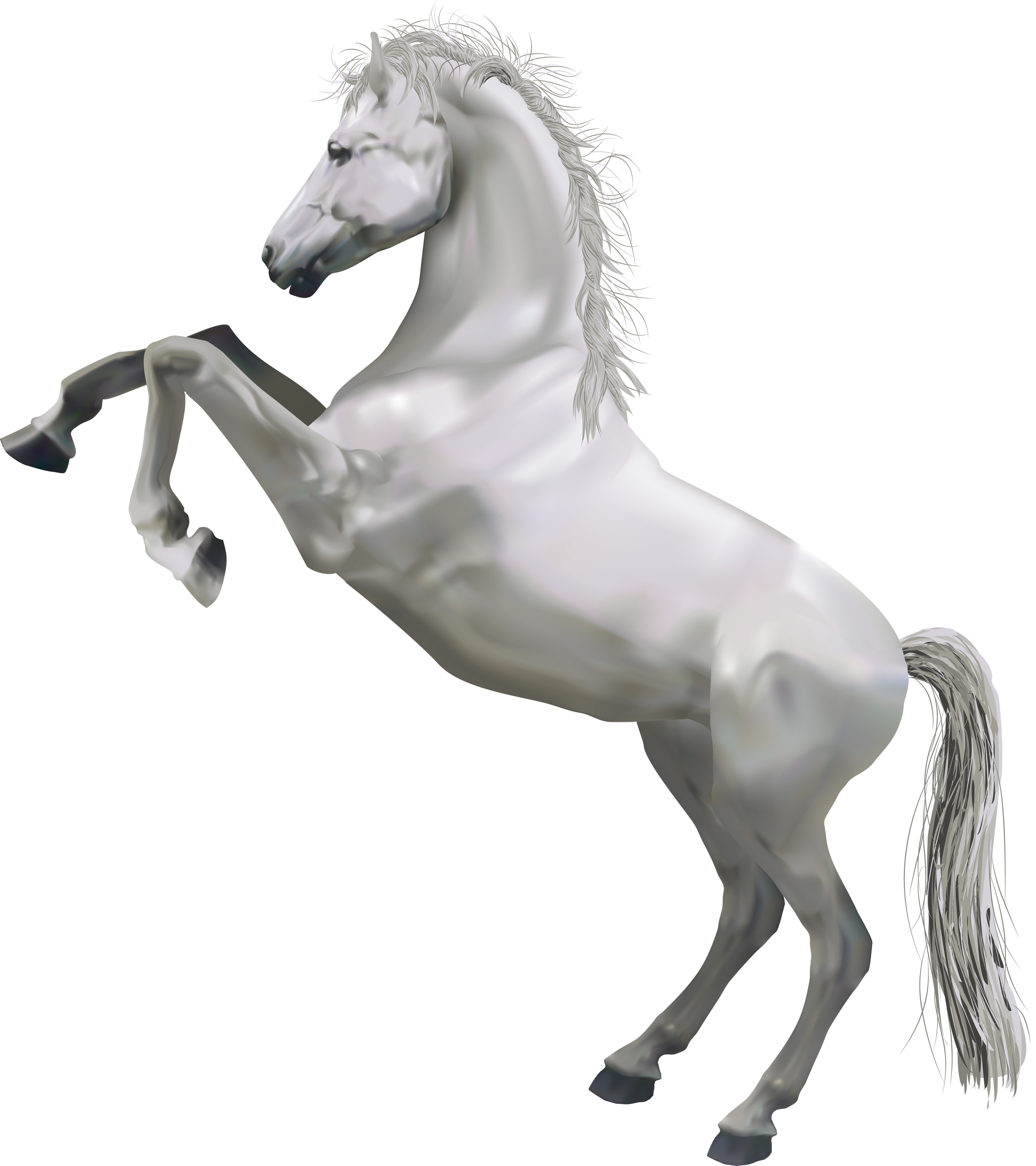 Photos Running Horse Morgan HQ Image Free Transparent PNG Image