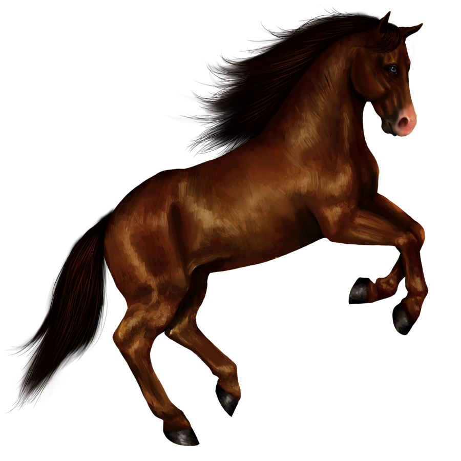 Horse Png 8 Transparent PNG Image