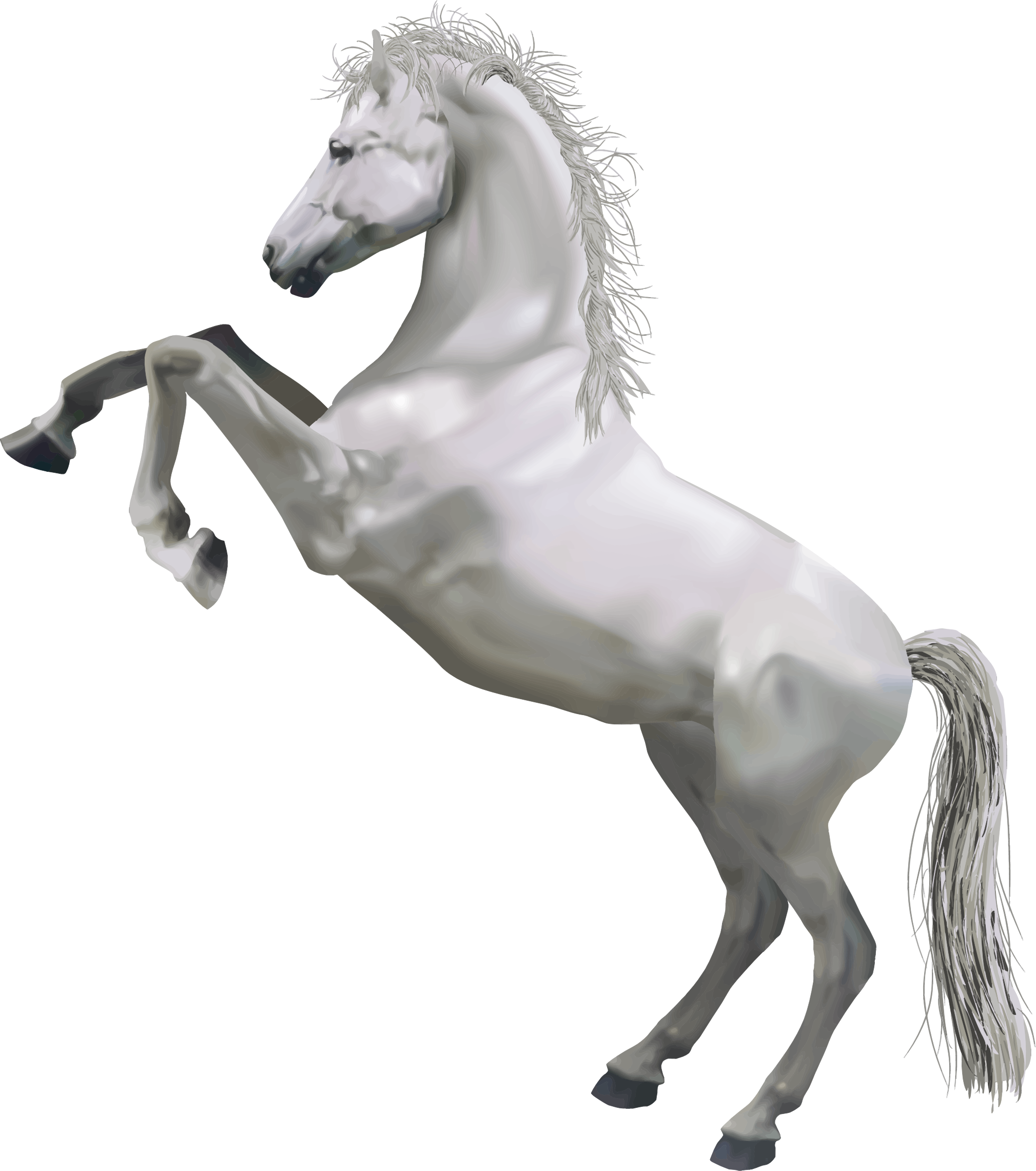 Horse Transparent PNG Image