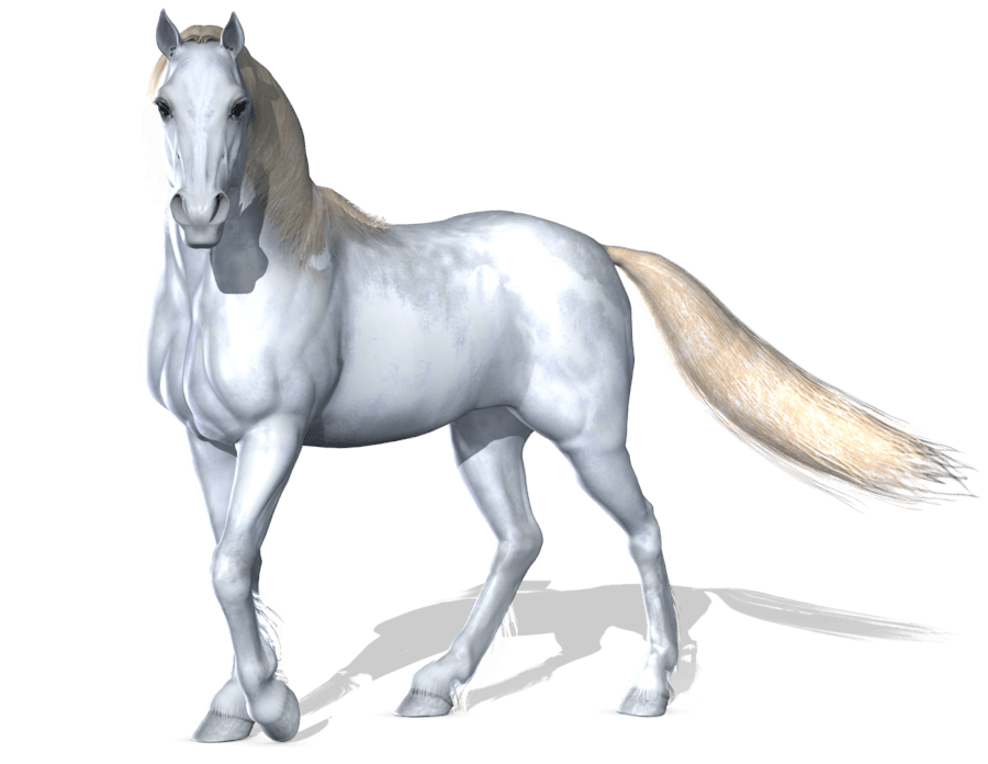 Horse Png Image Transparent PNG Image