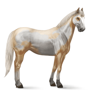 Horse Png Image Download Picture Transparent Background Transparent PNG Image