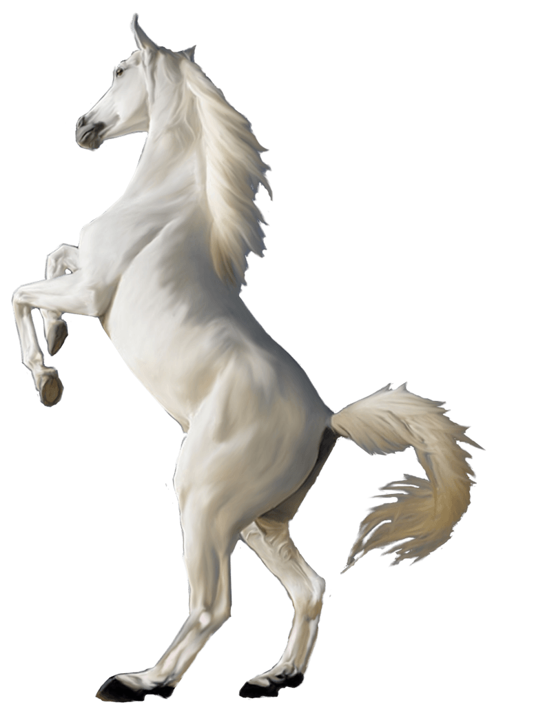 White Horse Png Image Transparent PNG Image