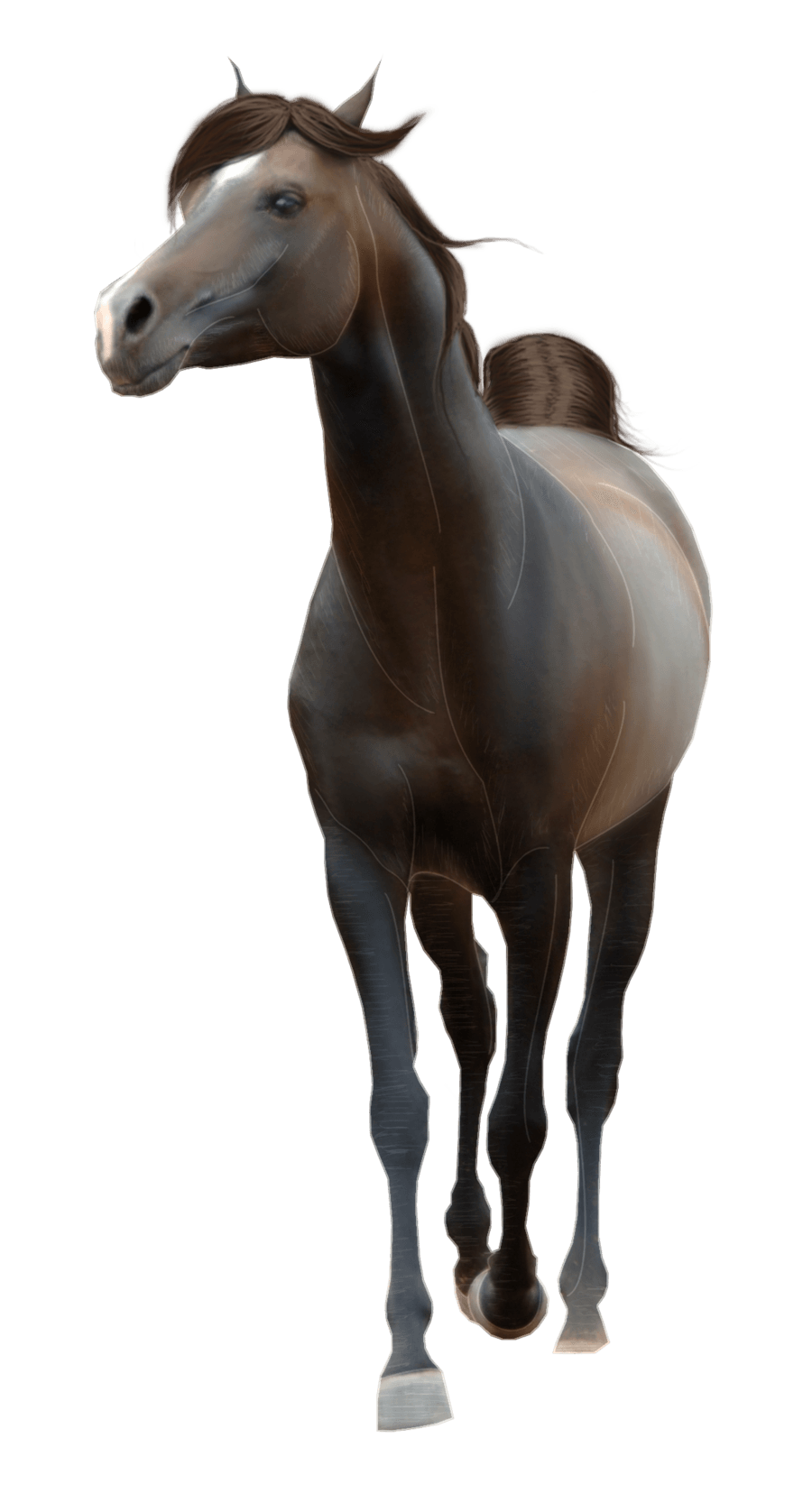 Horse Png Image Transparent PNG Image