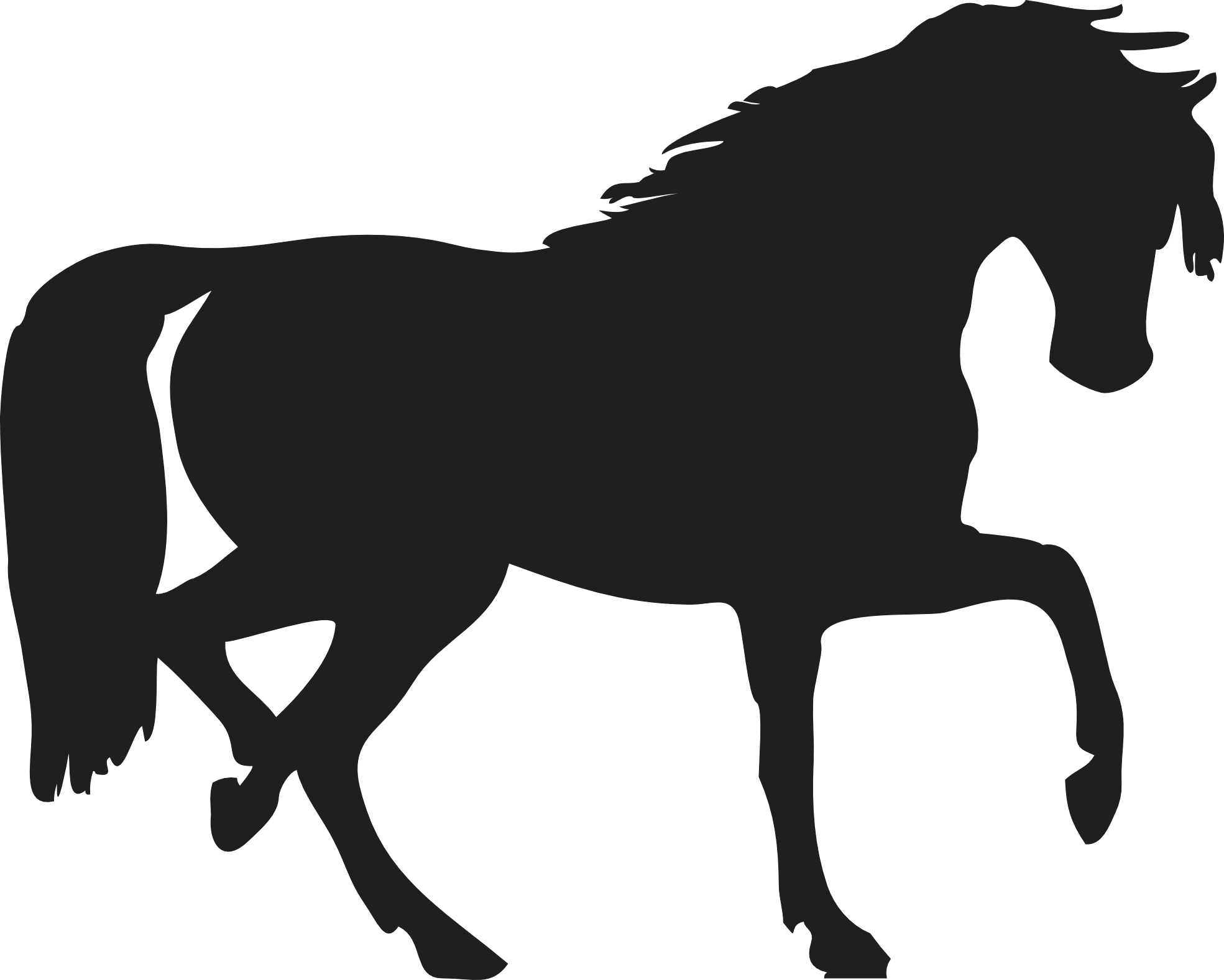 Black Horse Siluete Png Image Transparent PNG Image